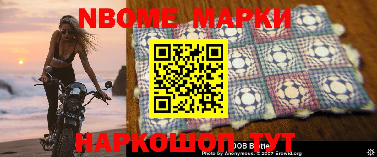 МЕФ Курчатов