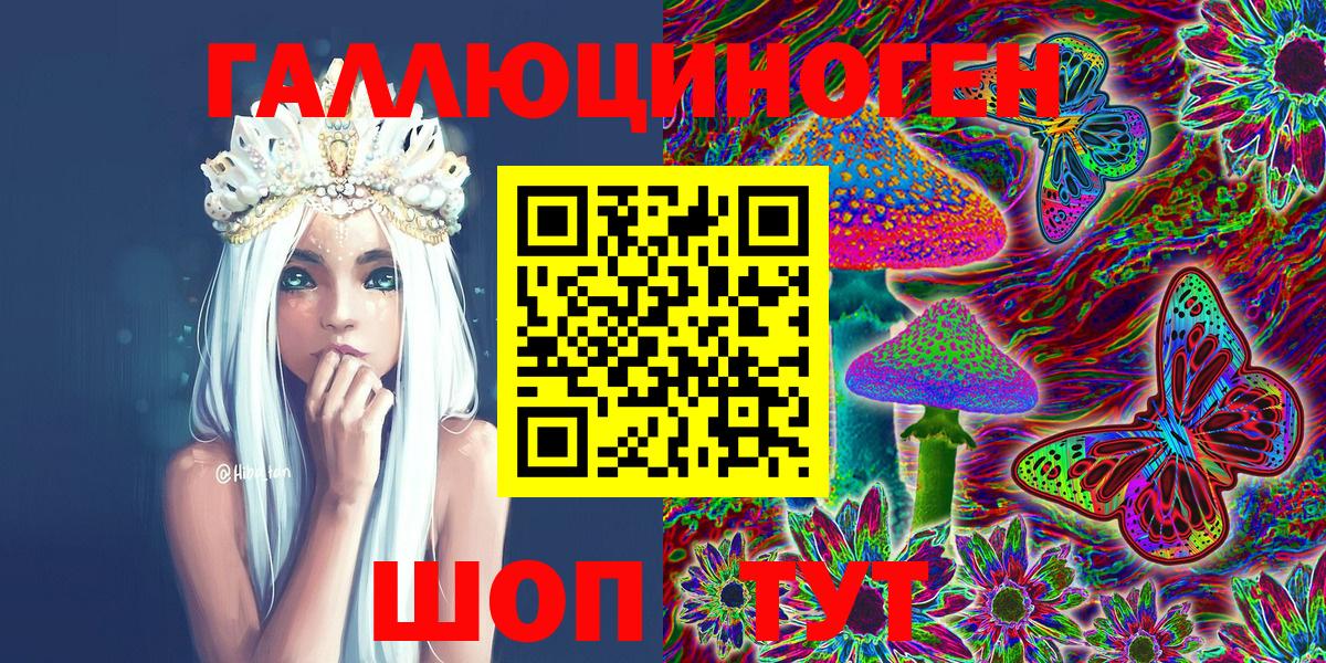 Галлюциногенные грибы Psilocybe Курчатов