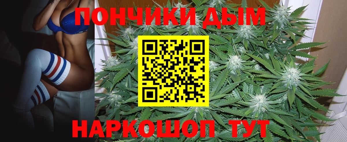 Канабис индика Курчатов